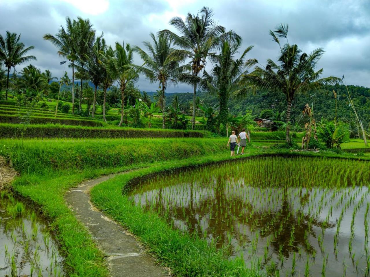 Puri Pilihani Hostel มุนดุก ภายนอก รูปภาพ